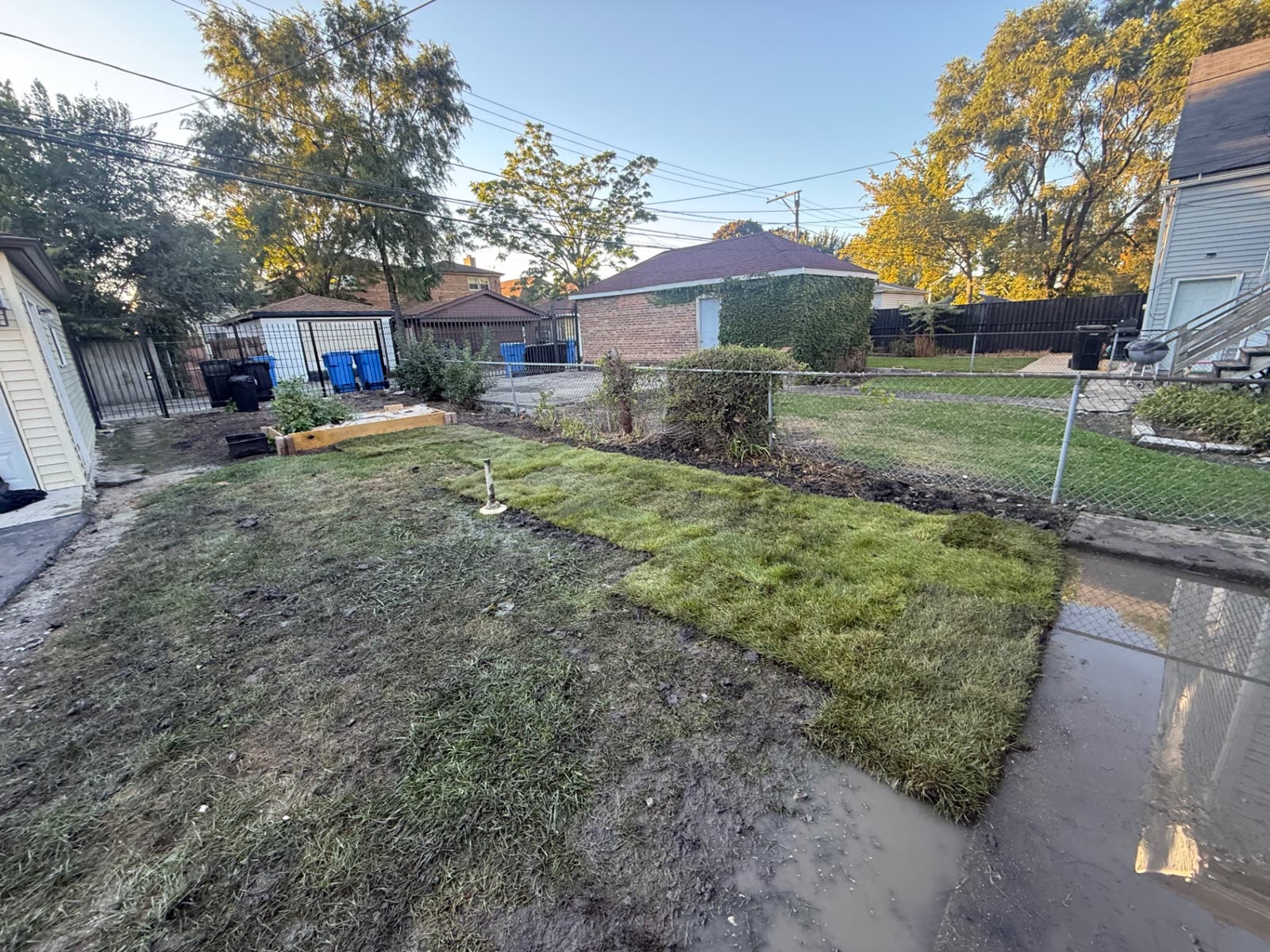 New sod strips being installed in a backyard