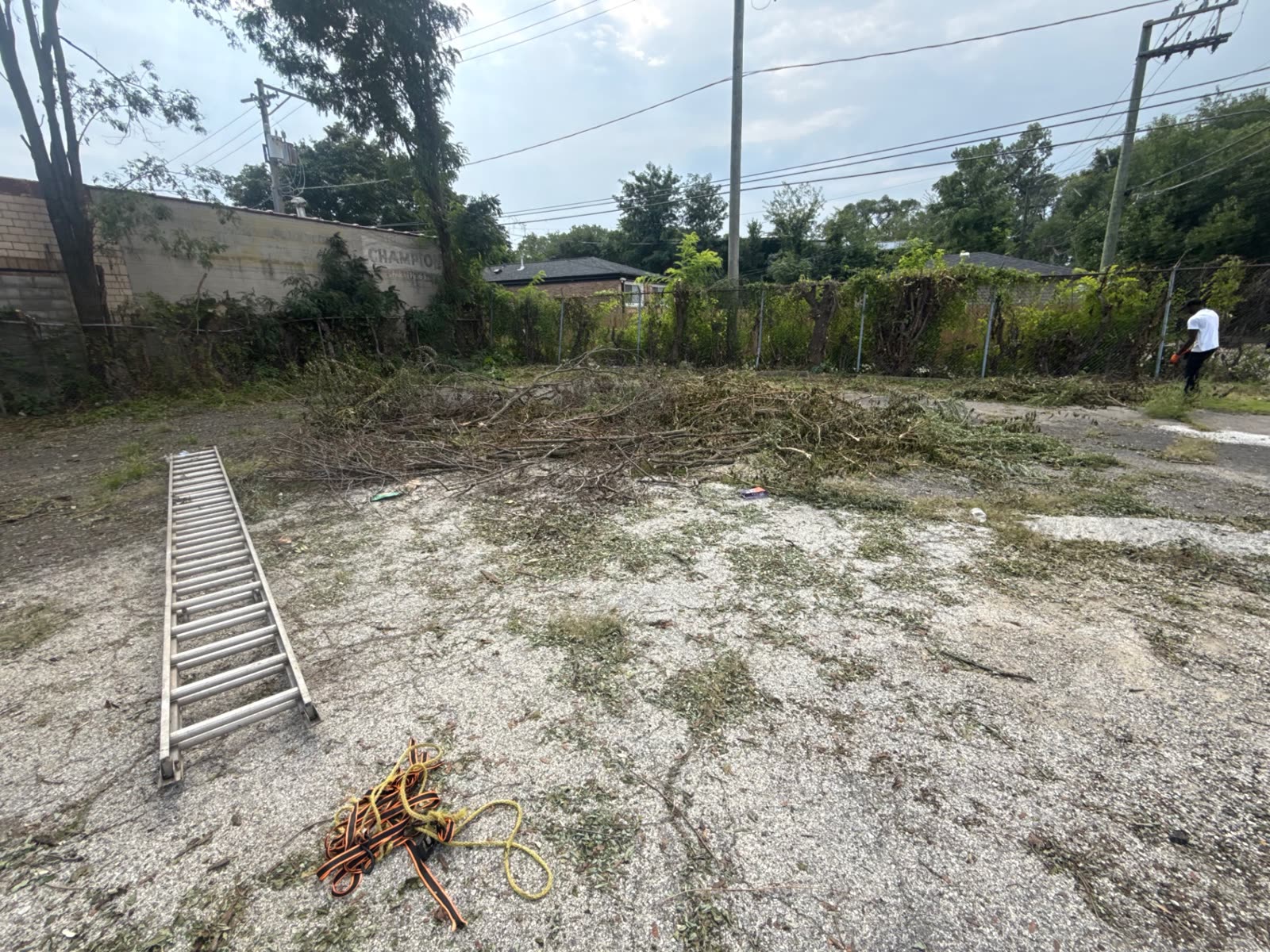 Cleared fence line after brush removal
