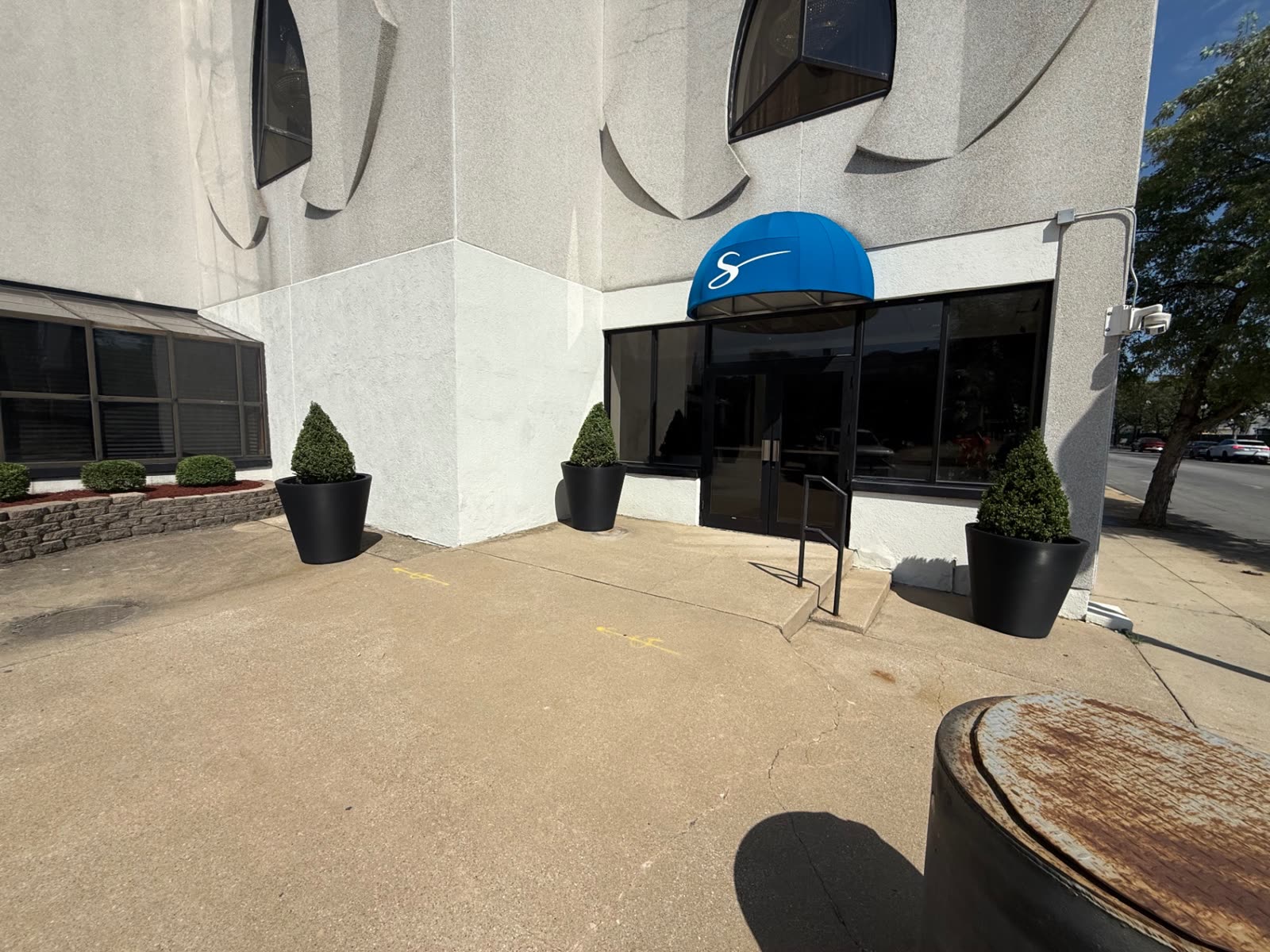 Restaurant entry with potted evergreens beside the doors