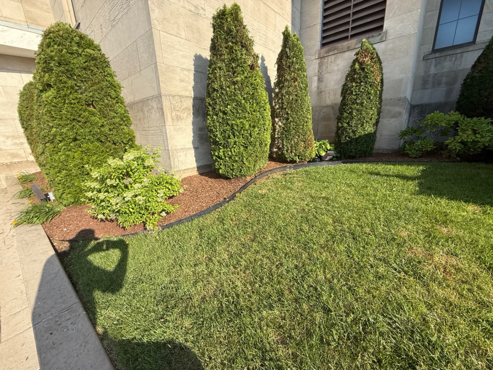 Courtyard fountain framed by trimmed arborvitae and hydrangeas