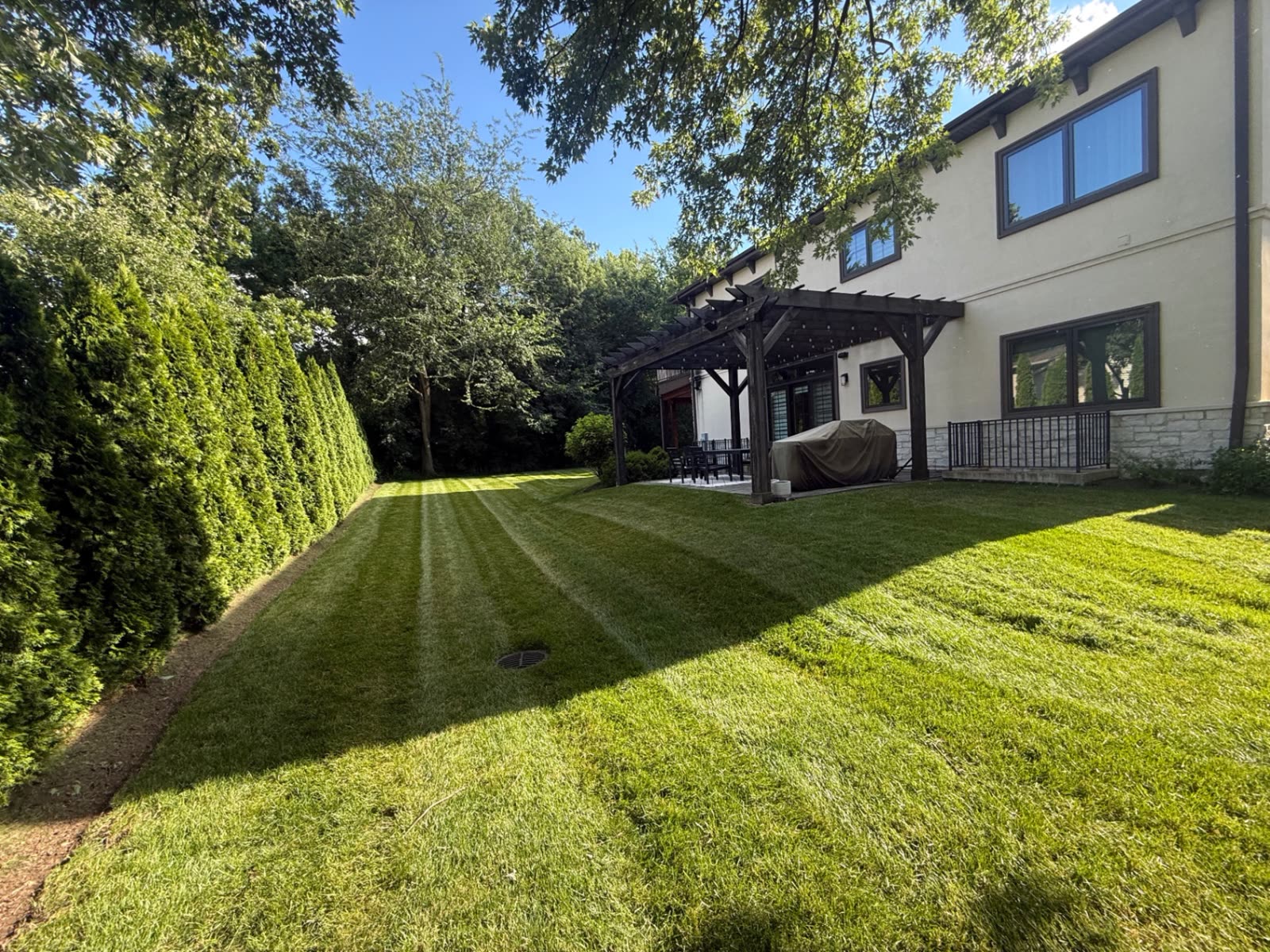 Striped backyard lawn beside an arborvitae hedge and pergola