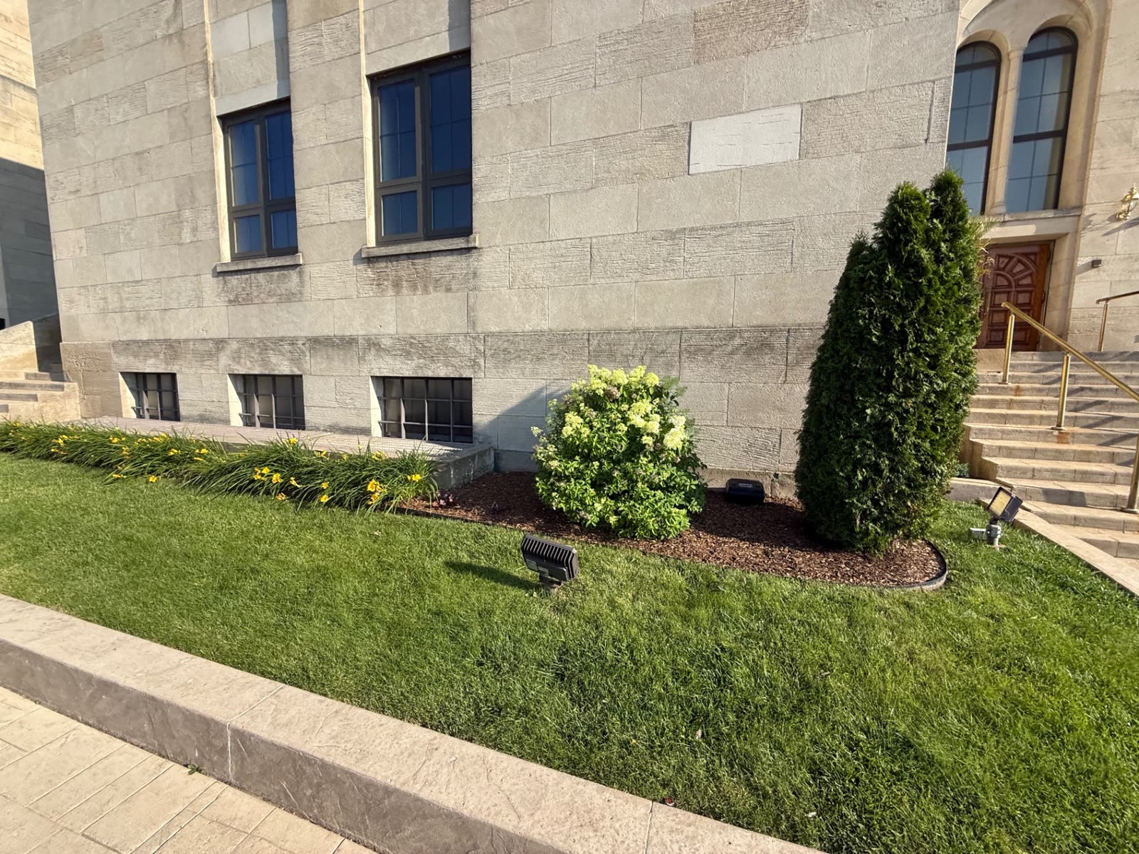 Curved foundation bed with dark mulch along a stone building