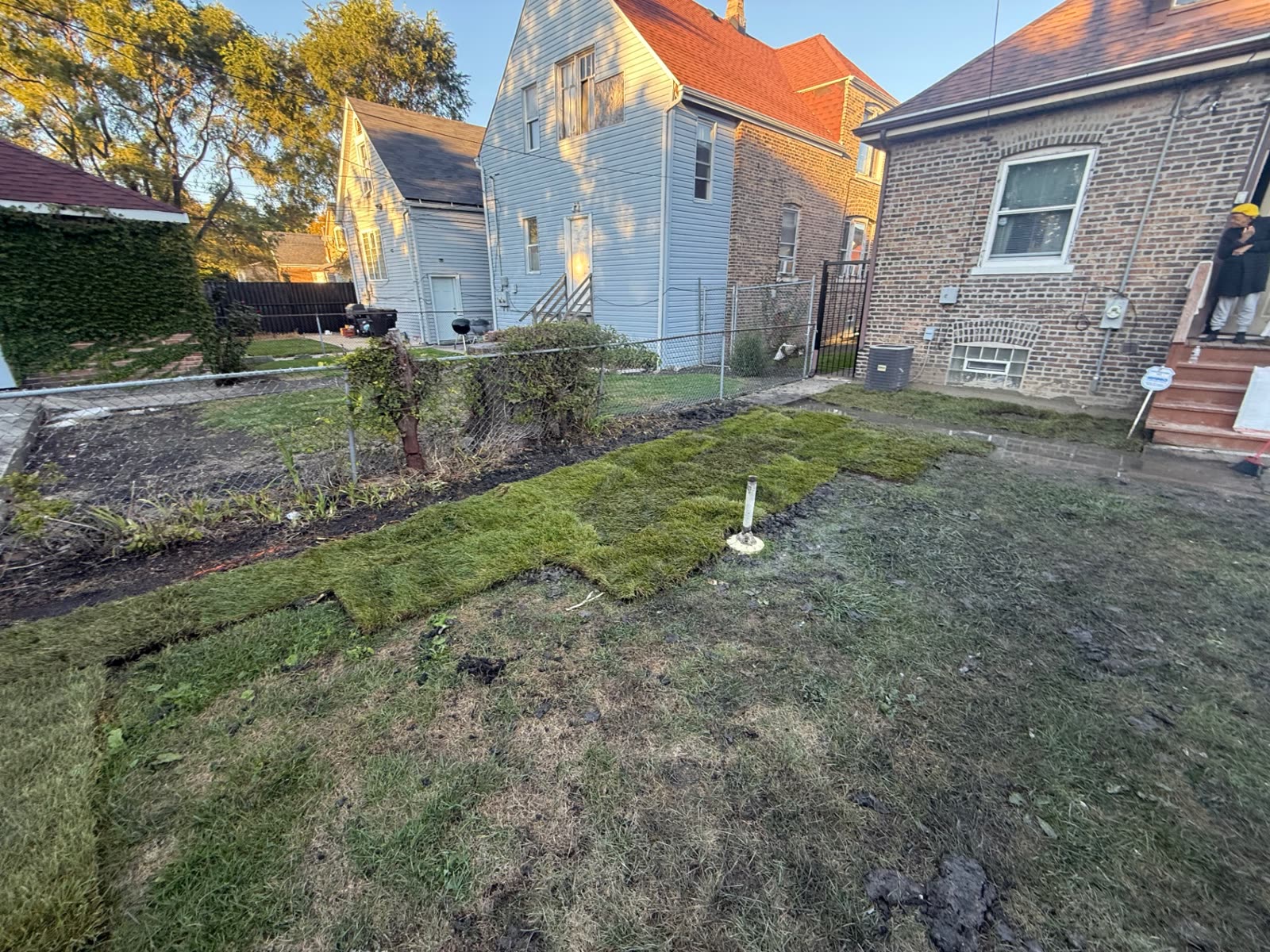 Newly laid sod rows in a residential yard