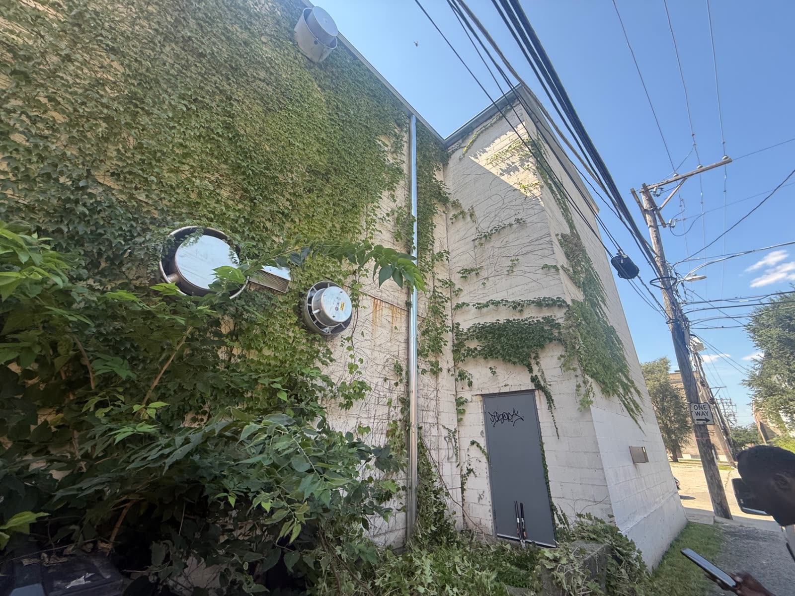 Commercial wall after vines were cleared