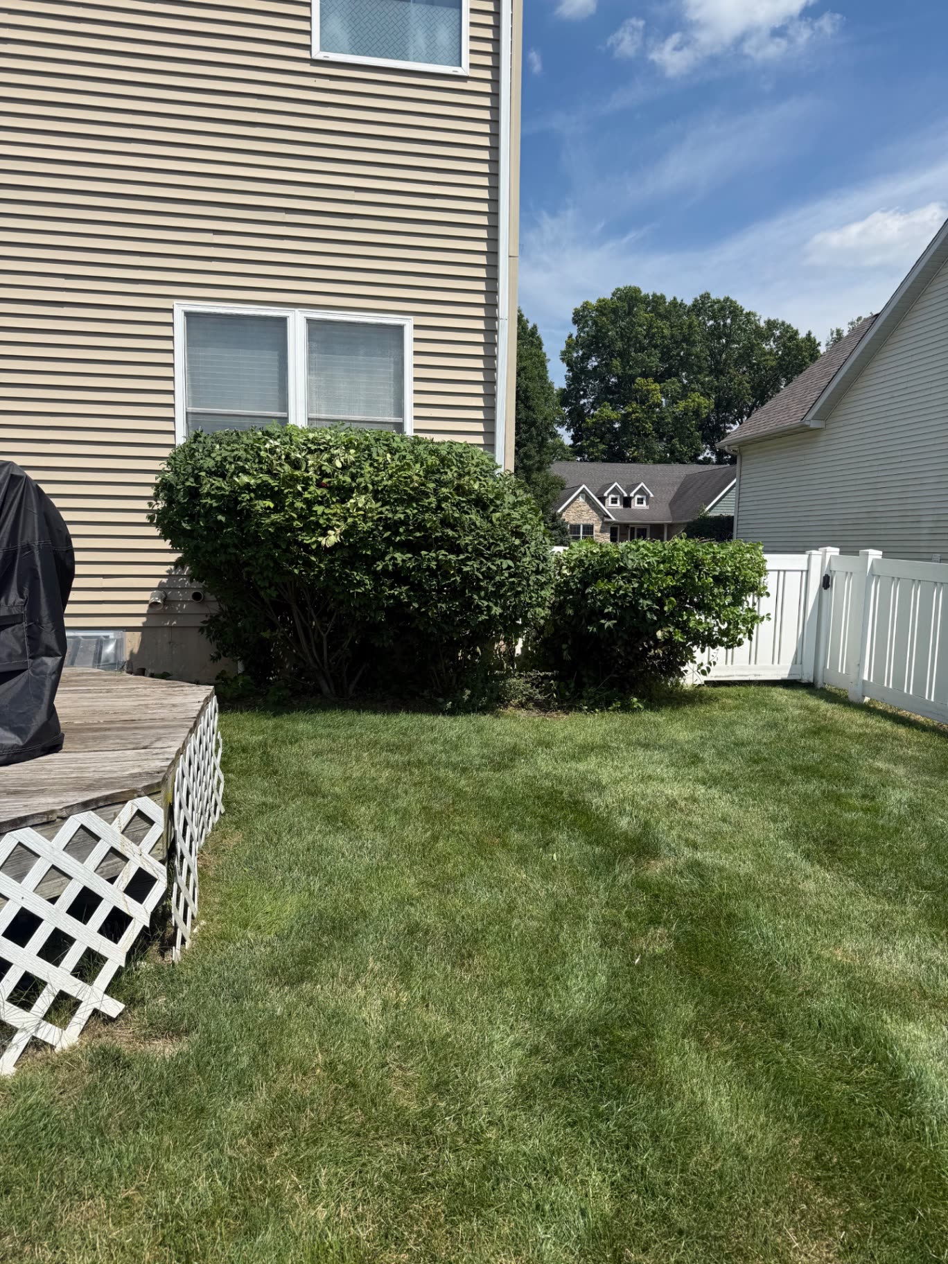 Pruned shrubs beside a vinyl fence