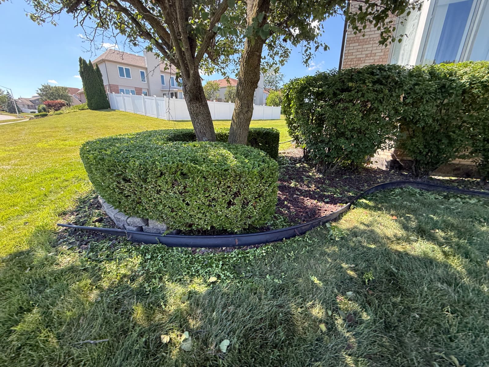 Clean hedge line along a brick house
